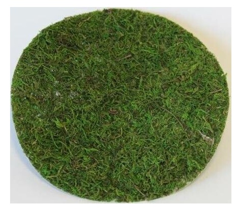 Mech průměr 20 cm