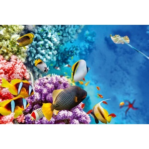 DIMEX ART Флизелинов фототапет удивителен подводен свят 375 x 250 см