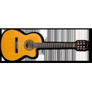 Ibanez GA5TCE