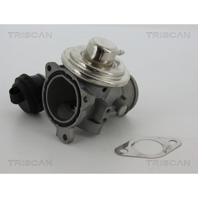 AGR - Ventil TRISCAN 8813 29057