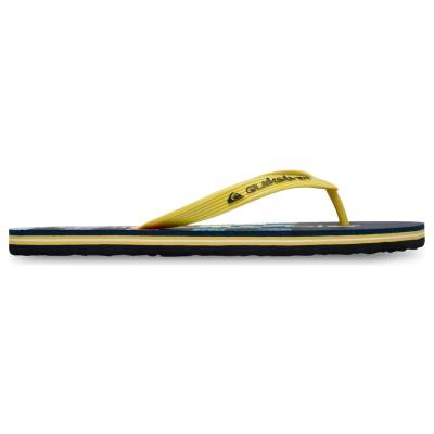 Мъжки сандали Quiksilver Molokai Stripe 26 Sandals - Next Gen - размер 40 (EU) (025-1419-0412)