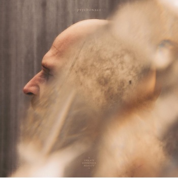 Violate Consensus Reality LP