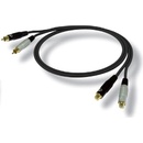 Bespeco EA2X150