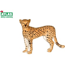 Atlas B Gepard