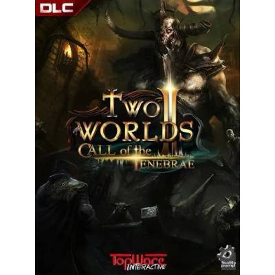 Игра Two Worlds II - Call of the Tenebrae за PC Steam, Електронна доставка