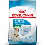 Royal Canin Mini Starter Mother & BabyDog 4 kg