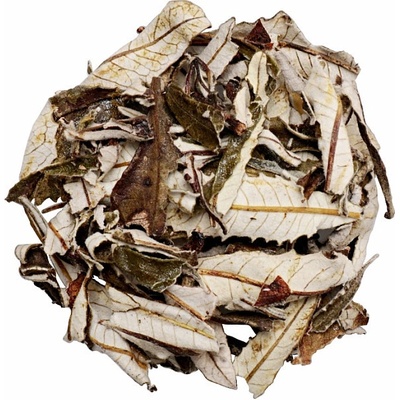 Nefertitis Yerba santa NF54127 20 g
