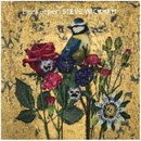 WICKHAM, STEVE - BEEKEEPER CD