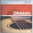 D'addario EJ17
