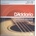 D'addario EJ17