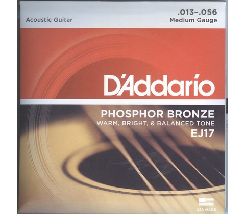 D'addario EJ17