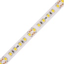 T-LED 07922
