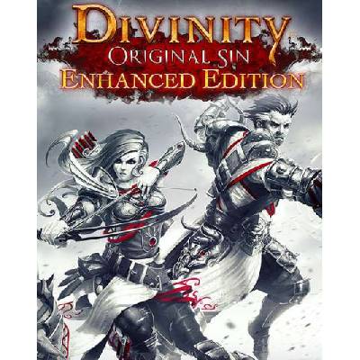 Divinity Original Sin Enhanced Edition