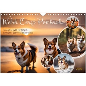 Calvendo Welsh Corgi Pembroke (Wall Calendar 2026 DIN A4 landscape), CALVENDO 12 Month Wall Calendar | Calvendo, Claudia Kleemann