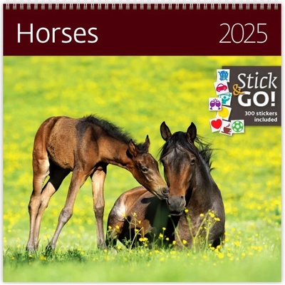 Horses 30 x 30 cm 2025