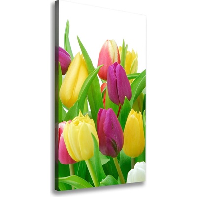 Vertikálny foto obraz na plátne Farebné tulipány 50x100 cm