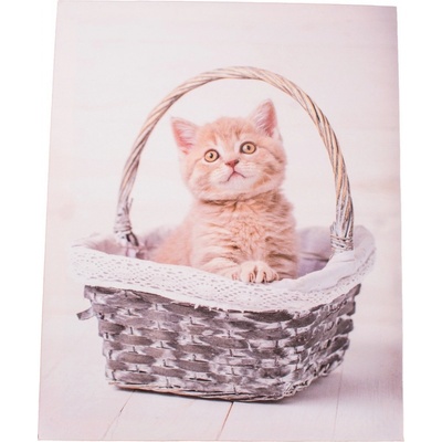 Obraz na plátne Kittie in basket, 30 x 40 cm