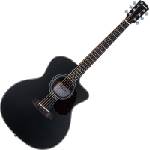 Pasadena PGC-200 Black Джъмбо китара