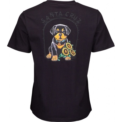 THRASHER GIRLS SKATE MAG TEE Maroon