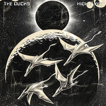 Ducks: High Flyin - Ducks