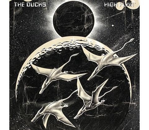 Ducks: High Flyin - Ducks