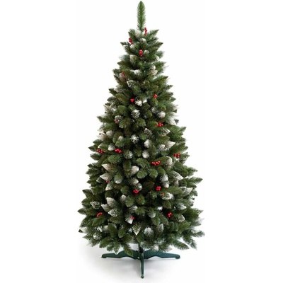 Limpol Borovica Iza s červenými bobuľami 2,20 m