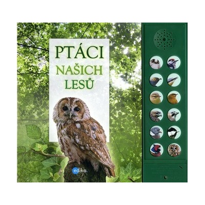 Ptáci našich lesů