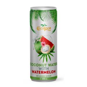 COCA LOCA КОКОСОВА ВОДА ДИНЯ coca loca 250мл