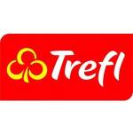 Trefl Puzzle 54 mini In the world of Anna and Elsa 3 TREFL