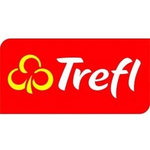 Trefl Puzzle 54 mini In the world of Anna and Elsa 3 TREFL