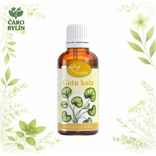 Serafin Gotu-kola tinktura z pupenů rostliny 50 ml