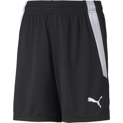Puma TEAMLIGA JR