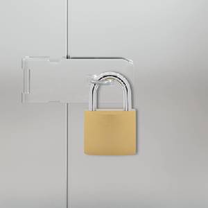 vidaXL U Lock с ключове 100 бр. Месинг Желязо (42021929)