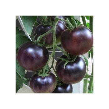 Rajče tyčkové černé Black Cherry - semena rajčat 10 ks S0309