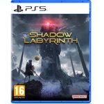 BANDAI NAMCO Entertainment Shadow Labyrinth (PS5)