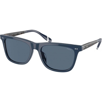 Polo Ralph Lauren PH4205U 546580