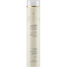 Medavita Blondie All Shampoo 250 ml