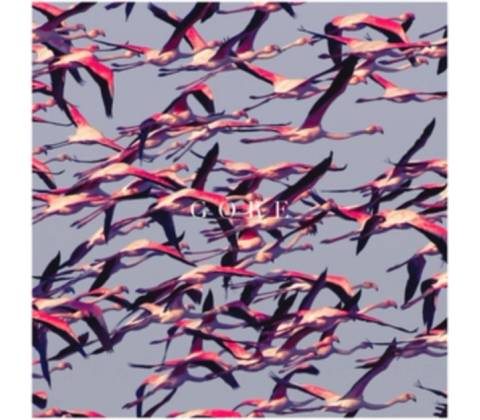 DEFTONES: GORE LP