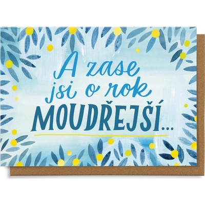 Chaukiss A zase jsi o rok moudřejší