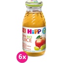 HIPP BIO Jablkovo-hroznová šťava 6 x 200 ml