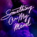 Purple Disco Machine & Du - Something On My Mind LP