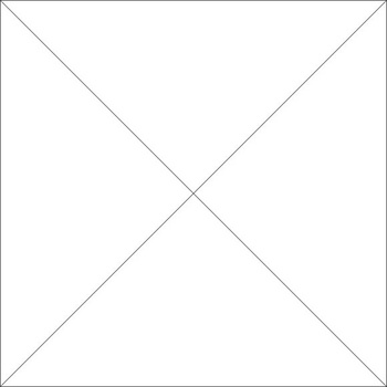 SIGNATURE SEASON DROP CROTCH shorts