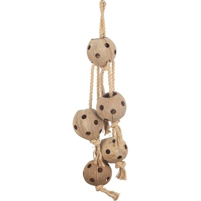 Quapas! Coconut Swing