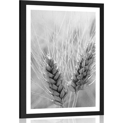 Plakát s paspartou pšeničné pole v černobílém provedení - 40x60 black