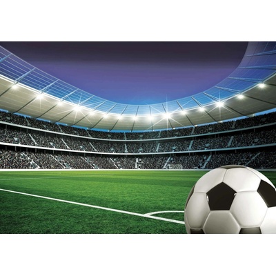 Postershop Fototapeta vliesová Sportovní fotbalový stadion, rozměry 152,5x104 cm