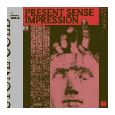 52 Hertz Whale - Present Sense Impression LP