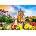 Enjoy - Puzzle Bamberg Old Town, Germany - 1 000 piese