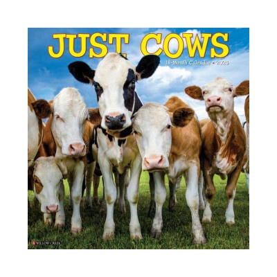 Cows 12 X 12 Wall 2026
