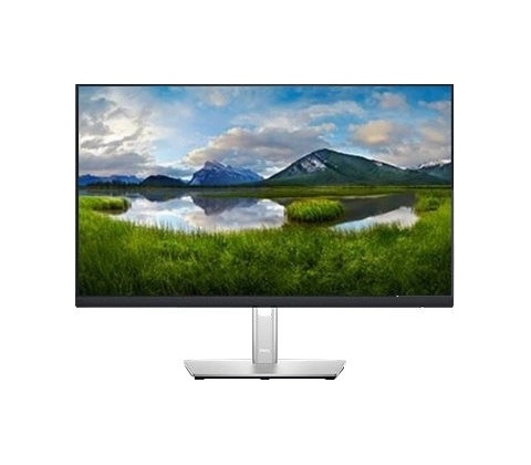 Dell P2422HE