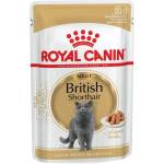 Royal Canin British Shorthair Adult пастет хапки в сос за британски късокосмести котки над 12 месеца 85gr